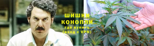 mdpv Богородск