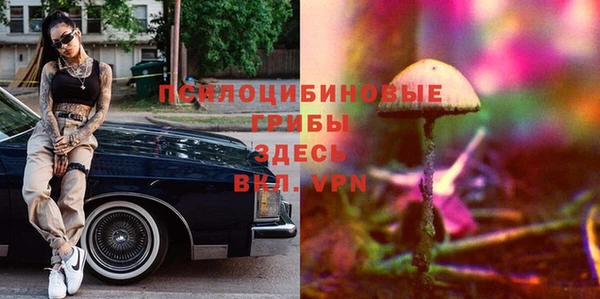тгк Богородицк