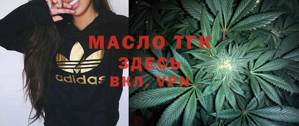 тгк Богородицк