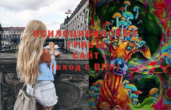 MDMA Богданович